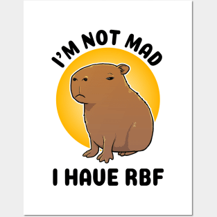I'm not mad I have RBF Capybara Posters and Art